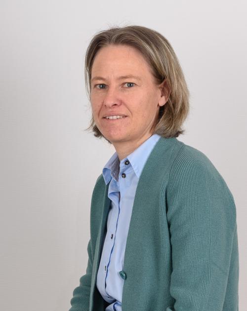 Tine Taillieu